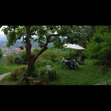 Ducci 1705 3* Arcola